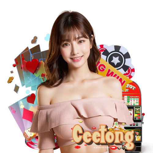 ceetong ระบบAuto